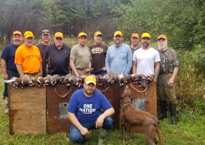 vet hunt