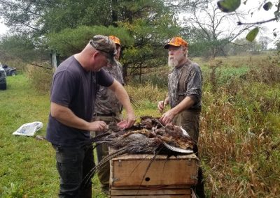 vet hunt