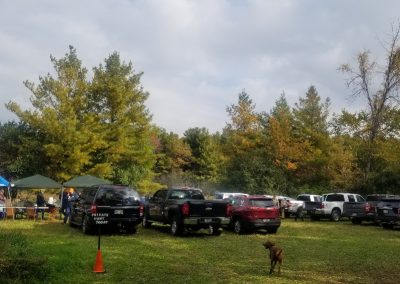 vet hunt